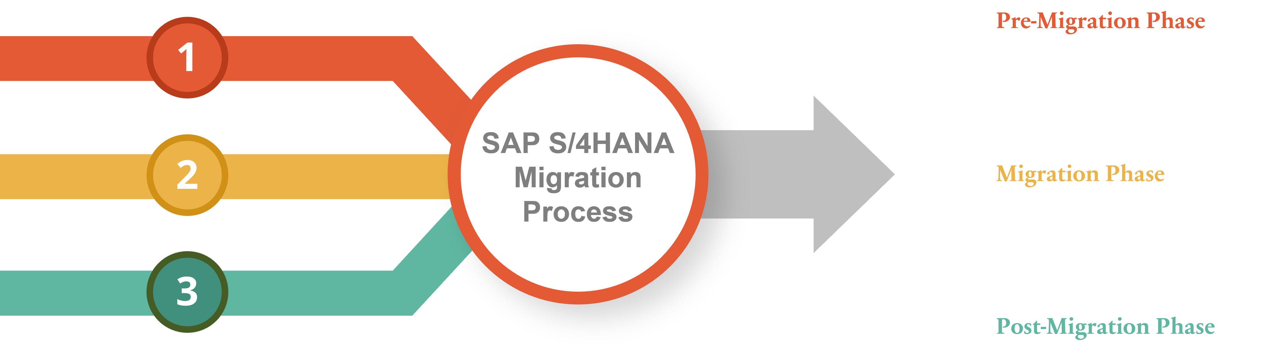 SAP S/4HANA Migration Process